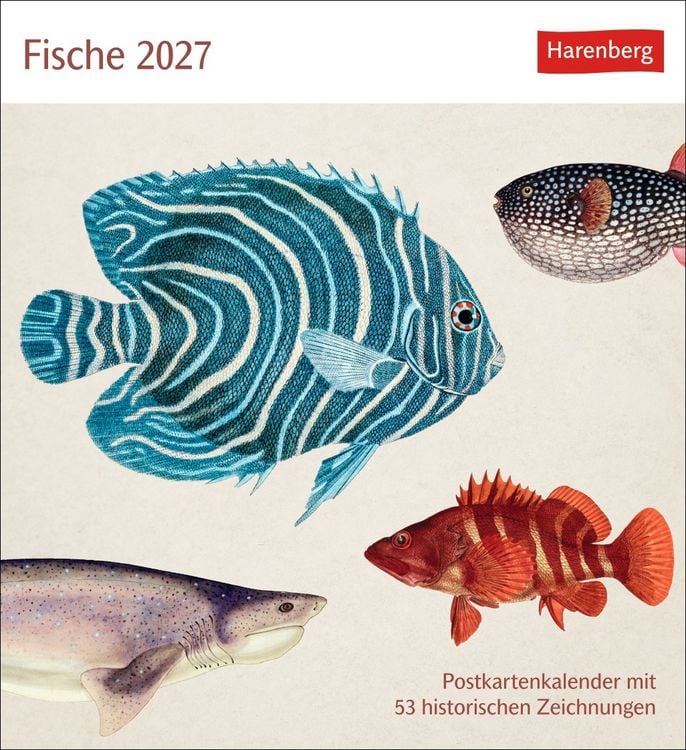 Produktbild: Fische Postkartenkalender 2027 - Postkartenkalender mit 53 historischen Zeichnungen