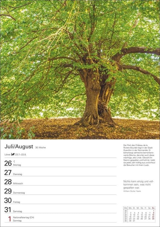 Produktbild: B&auml;ume Wochenplaner 2027 - 53 stimmungsvolle Fotografien