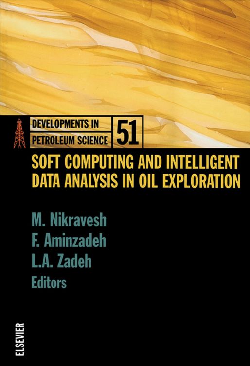 Produktbild: Soft Computing and Intelligent Data Analysis in Oil Exploration
