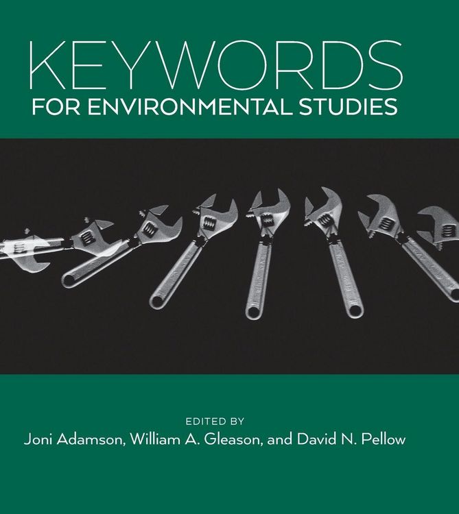 Produktbild: Keywords for Environmental Studies