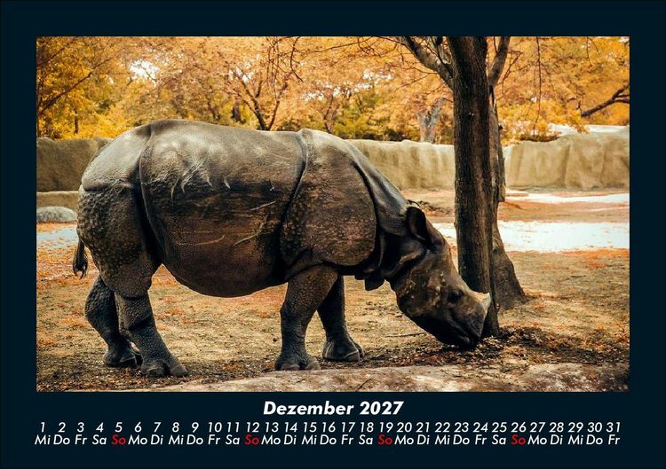 Produktbild: Tiere in der Wildnis 2027 Fotokalender DIN A5