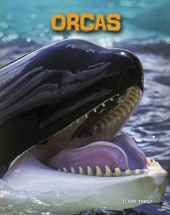 Produktbild: Orcas