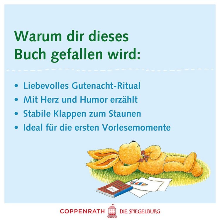 Produktbild: Erste Gutenacht-Briefe von Felix
