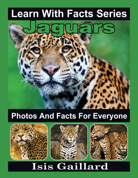 Produktbild: Jaguars Photos and Facts for Everyone (Learn With Facts Series, #49)