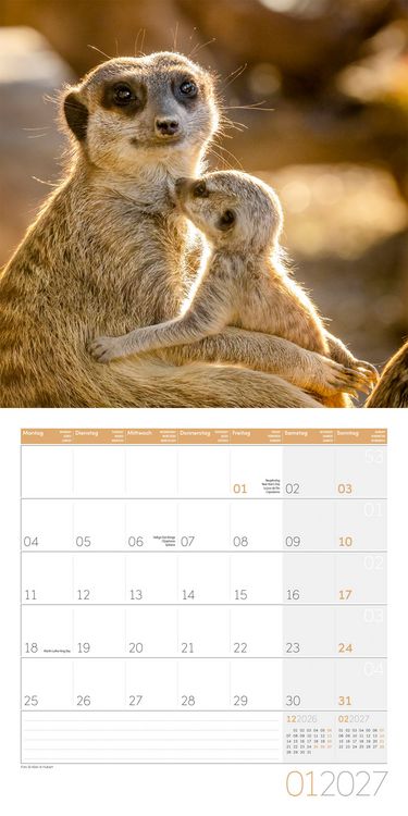 Produktbild: Erdm&auml;nnchen Kalender 2027 - 30x30 - Art12
