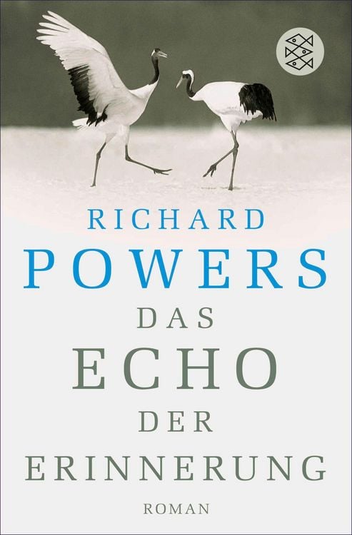 Produktbild: Das Echo der Erinnerung