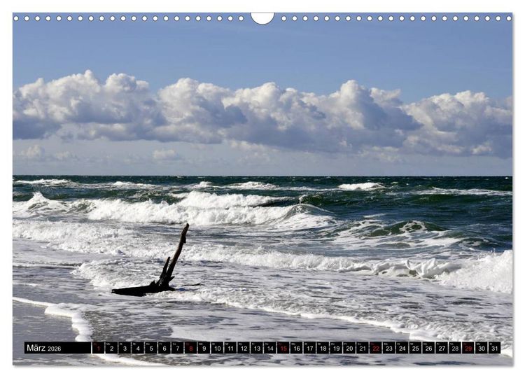 Produktbild: Die Ostsee (Wandkalender 2026 DIN A3 quer), CALVENDO Monatskalender