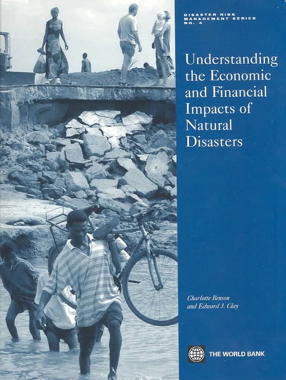 Produktbild: Understanding the Economic and Financial Impacts of Natural Disasters