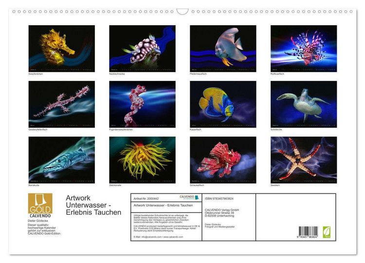 Produktbild: Artwork Unterwasser - Erlebnis Tauchen (Wandkalender 2026 DIN A2 quer), CALVENDO Monatskalender