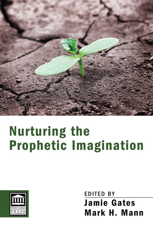 Produktbild: Nurturing the Prophetic Imagination