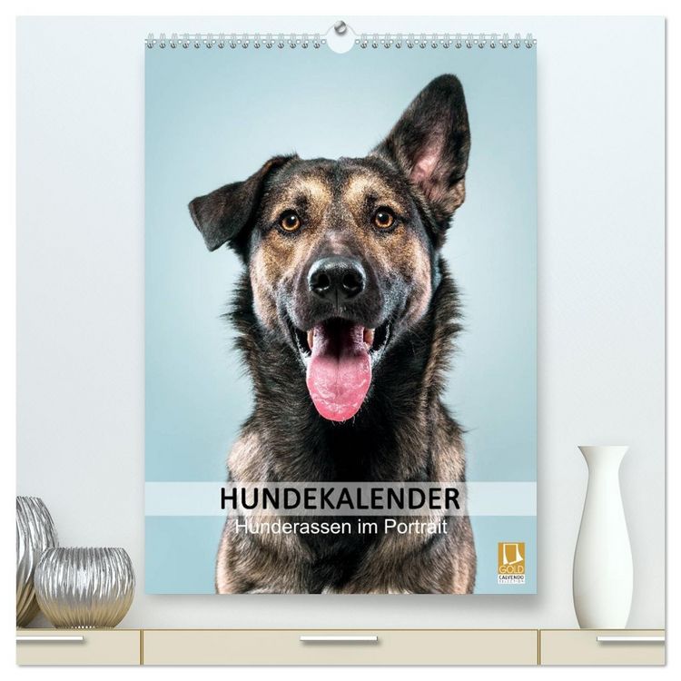 Produktbild: Hundekalender - Hunderassen im Portrait (hochwertiger Premium Wandkalender 2026 DIN A2 hoch), Kunstdruck in Hochglanz