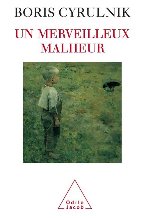 Produktbild: Un merveilleux malheur