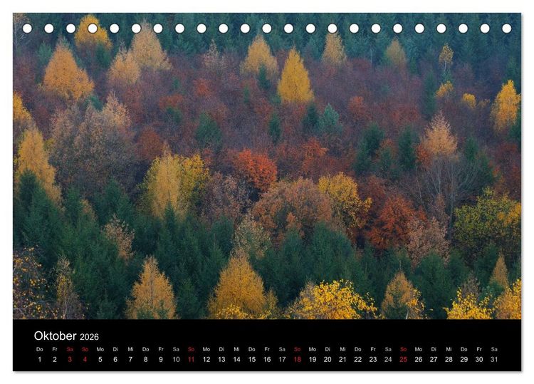 Produktbild: B&auml;ume (Tischkalender 2026 DIN A5 quer), CALVENDO Monatskalender