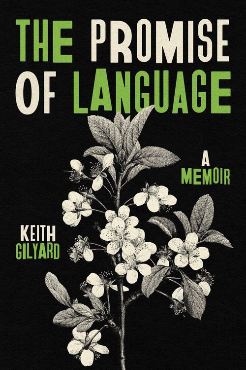 Produktbild: The Promise of Language