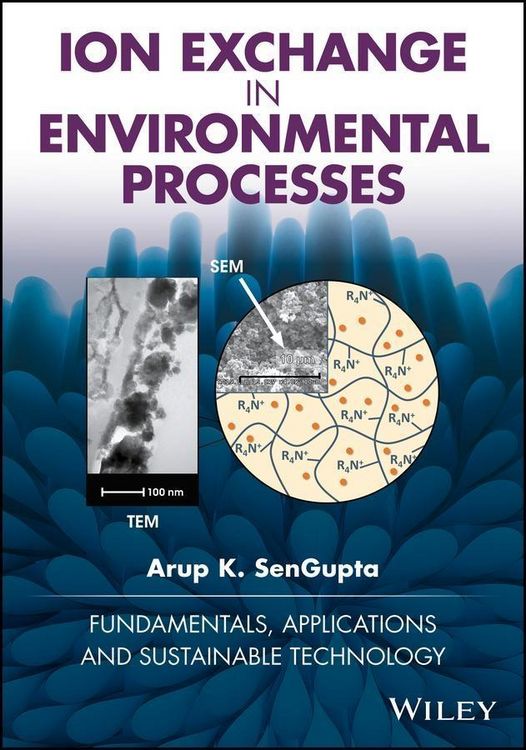 Produktbild: Ion Exchange in Environmental Processes