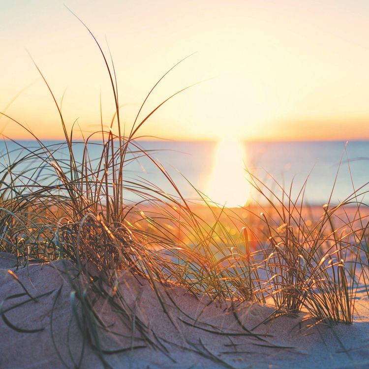 Produktbild: Strand und Meer / Beach and Sea 2027