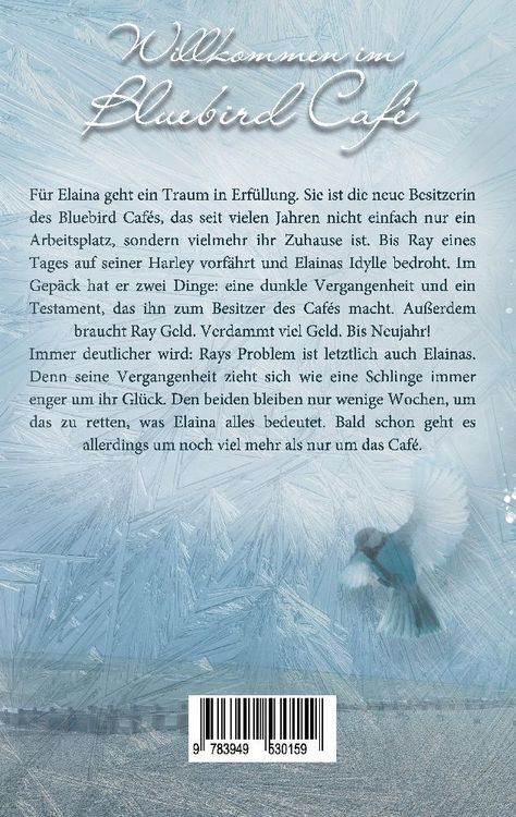 Produktbild: Healing Broken Wings I Romantic Suspense mit Wintervibes in S&uuml;dengland