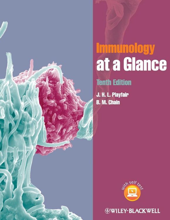 Produktbild: Immunology at a Glance