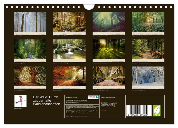 Produktbild: Der Wald. Durch zauberhafte Waldlandschaften (Wandkalender 2026 DIN A4 quer), CALVENDO Monatskalender