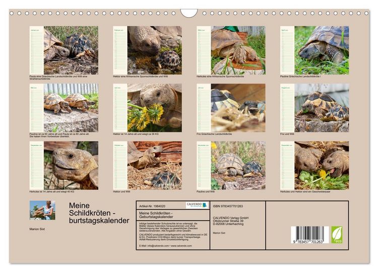 Produktbild: Meine Schildkr&ouml;ten - Geburtstagskalender (Wandkalender 2026 DIN A3 quer), CALVENDO Monatskalender