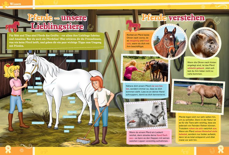 Produktbild: Bibi & Tina: Mein gro&szlig;es Fanbuch