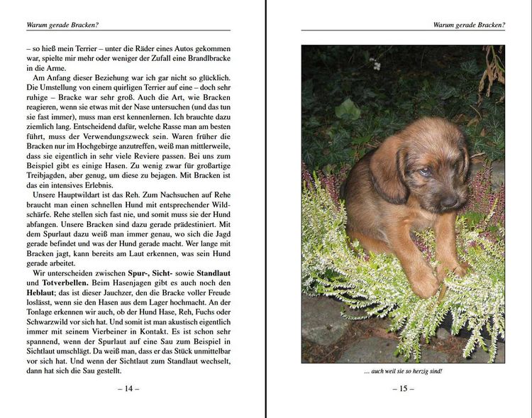 Produktbild: Darum Bracken!