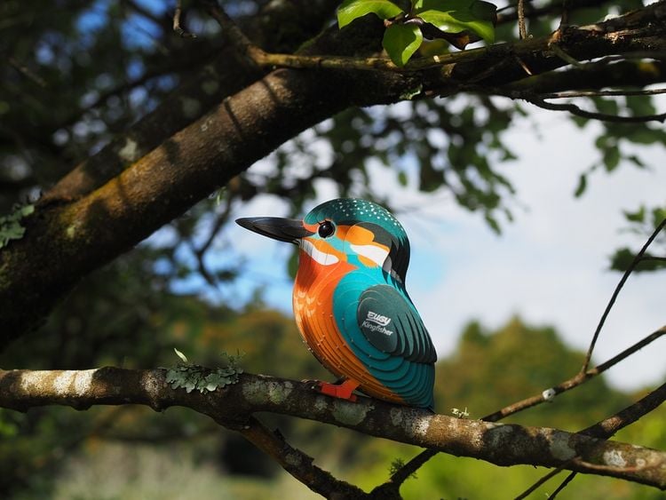 Produktbild: EUGY - 3D Bastelset Eisvogel