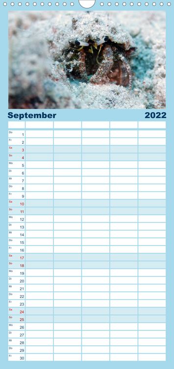 Produktbild: Tauchen, Fische und Meer - Familienplaner hoch (Wandkalender 2022 , 21 cm x 45 cm, hoch)
