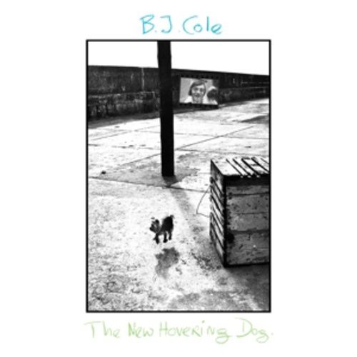 Produktbild: The New Hovering Dog (180g Black LP)