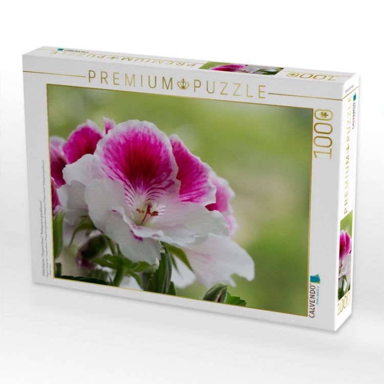 Produktbild: CALVENDO Puzzle Edelpelargonie 'Elegance Bravo' (Pelargonium grandiflorum) | 1000 Teile Lege-Gr&ouml;&szlig;e 64x48cm Foto-Puzzle f&uuml;r gl&uuml;ckliche Stunden
