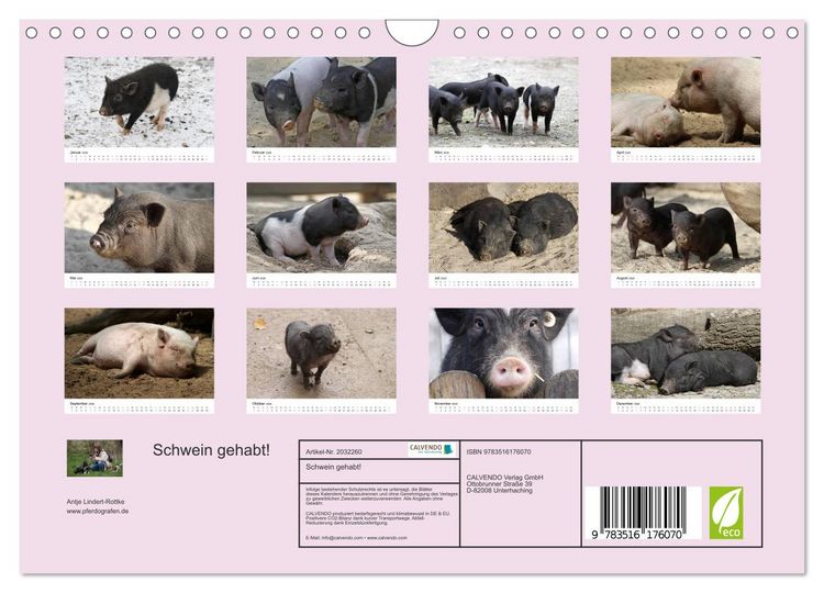 Produktbild: Schwein gehabt! (Wandkalender 2026 DIN A4 quer), CALVENDO Monatskalender