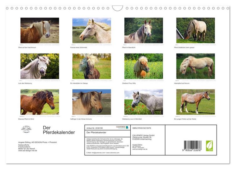 Produktbild: Der Pferdekalender (Wandkalender 2026 DIN A3 quer), CALVENDO Monatskalender