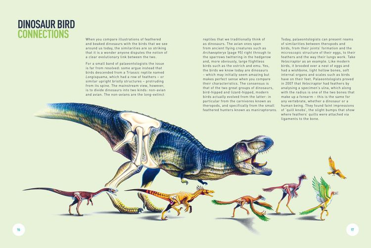 Produktbild: Dinosaurs - The Grand Tour, Second Edition