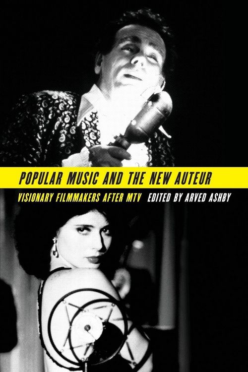 Produktbild: Popular Music and the New Auteur
