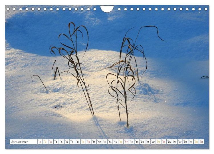 Produktbild: 12 Monate Natur (Wandkalender 2027 DIN A4 quer), CALVENDO Monatskalender
