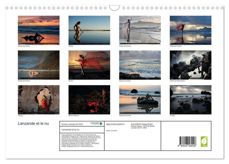 Produktbild: Lanzarote et le nu (Calendrier mural 2026 DIN A3 vertical), CALVENDO calendrier mensuel