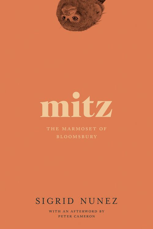 Produktbild: Mitz