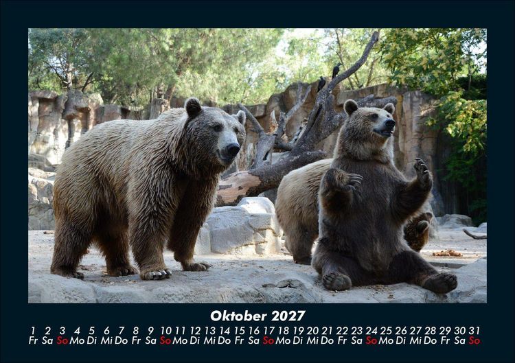Produktbild: Tierkalender 2027 Fotokalender DIN A5