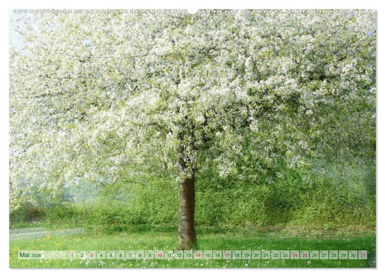 Produktbild: Vielfalt der B&auml;ume - variety of trees (hochwertiger Premium Wandkalender 2026 DIN A2 quer), Kunstdruck in Hochglanz