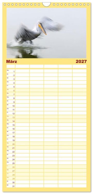 Produktbild: Familienplaner 2027 - Krauskopfpelikane mit 5 Spalten (Wandkalender, 21 x 45 cm) CALVENDO
