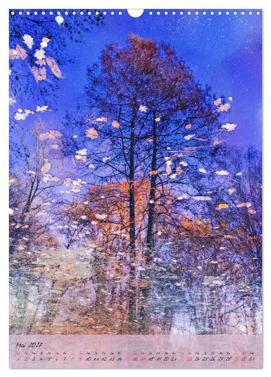 Produktbild: Wo der Wald tr&auml;umt (Wandkalender 2027 DIN A3 hoch), CALVENDO Monatskalender