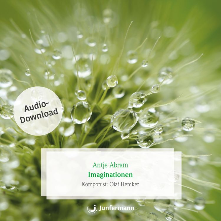 Produktbild: Imaginationen