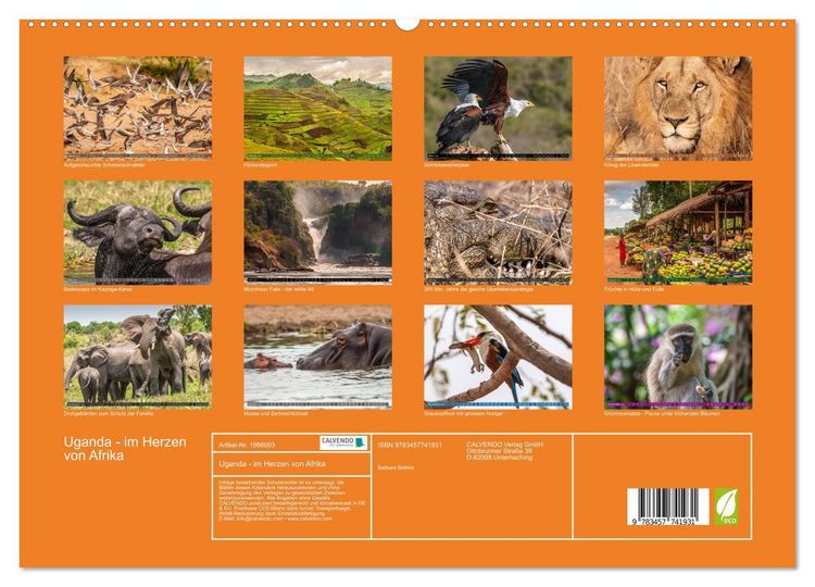 Produktbild: Uganda - im Herzen von Afrika (hochwertiger Premium Wandkalender 2026 DIN A2 quer), Kunstdruck in Hochglanz