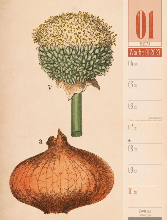 Produktbild: Culinarium Wochenplaner Kalender 2027 | K&uuml;che, Kr&auml;uter, Kurioses