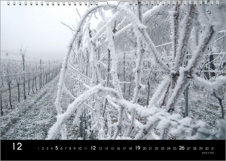Produktbild: Der Weinkalender 2027, DIN A3 &ndash; ein Fotokalender