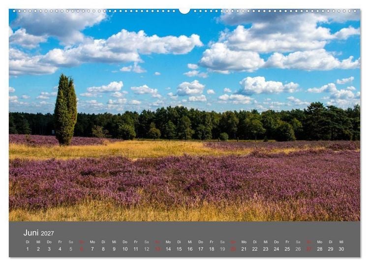 Produktbild: Moor- und Heidelandschaften Niedersachsen (hochwertiger Premium Wandkalender 2027 DIN A2 quer), Kunstdruck in Hochglanz