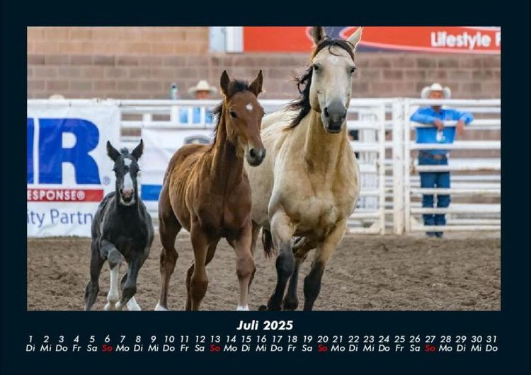 Produktbild: Pferdetraum 2025 Fotokalender DIN A4