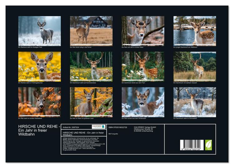 Produktbild: HIRSCHE UND REHE - Ein Jahr in freier Wildbahn (hochwertiger Premium Wandkalender 2026 DIN A2 quer), Kunstdruck in Hochglanz