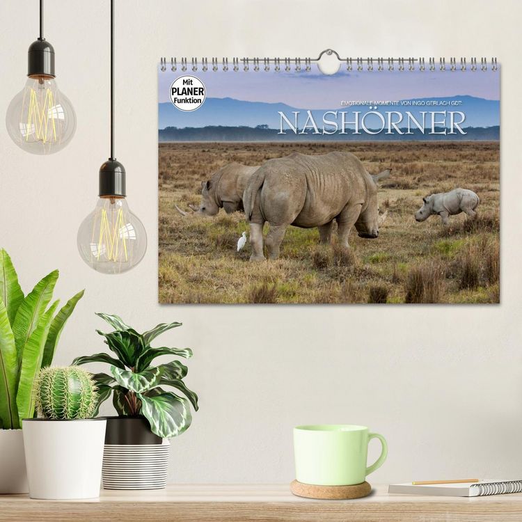 Produktbild: Emotionale Momente: Nash&ouml;rner (Wandkalender 2026 DIN A4 quer), CALVENDO Monatskalender