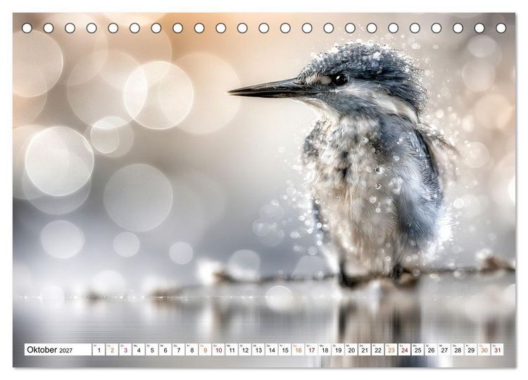 Produktbild: Lichtperlen (Tischkalender 2027 DIN A5 quer), CALVENDO Monatskalender